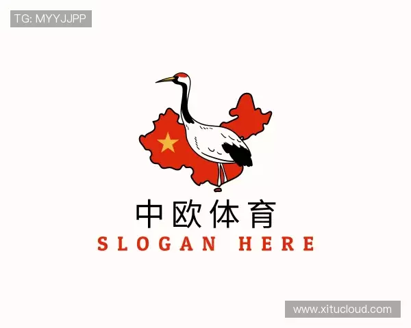 解读zoty中欧体育